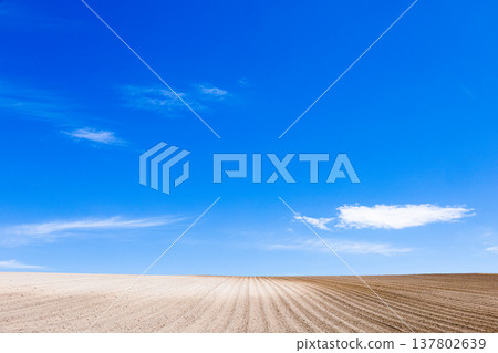 A refreshing spring breeze blows through the newly tilled fields and blue sky of Biei, Hokkaido. A refreshing spring breeze blows through the newly tilled fields and blue sky of Biei, Hokkaido. 137802639