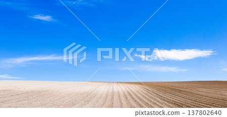 A refreshing spring breeze blows through the newly tilled fields and blue sky of Biei, Hokkaido. A refreshing spring breeze blows through the newly tilled fields and blue sky of Biei, Hokkaido. 137802640