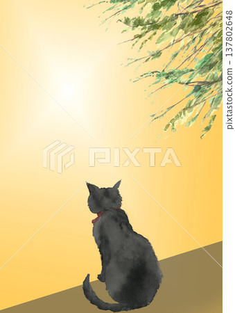 水彩風景插畫，一隻黑貓在陽光下沐浴 [手繪] 包含空白區域 137802648