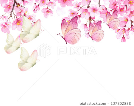 A spring watercolor frame background featuring cherry blossoms and fluttering butterflies. 137802888