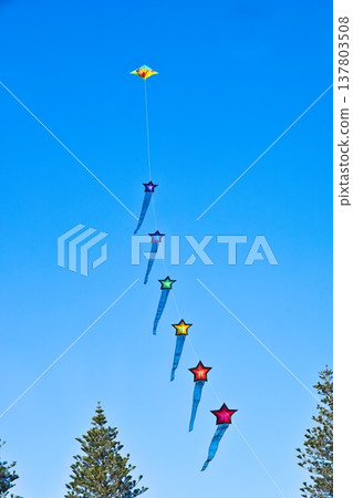 Otaki Kite Festival 2026 Star Line Up 137803508