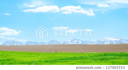 北海道美瑛的春日美景令人心曠神怡，起伏的丘陵、十勝山脈和湛藍的天空盡收眼底。 137803553