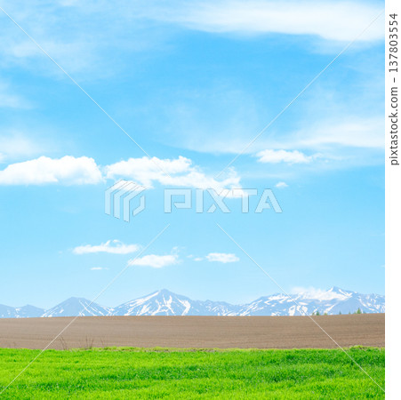 北海道美瑛的春日美景令人心曠神怡,起伏的丘陵、十勝山脈和湛藍的天空盡收眼底。 北海道美瑛的春日美景令人心曠神怡,起伏的丘陵、十勝山脈和湛藍的天空盡收眼底。 137803554