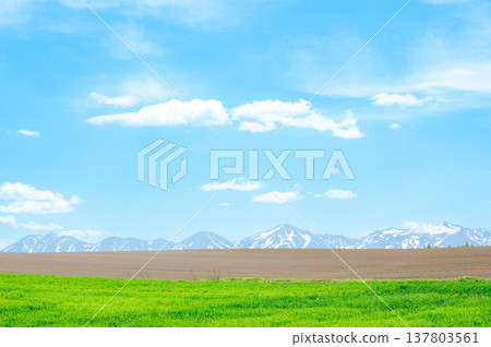 北海道美瑛的春日美景令人心曠神怡,起伏的丘陵、十勝山脈和湛藍的天空盡收眼底。 北海道美瑛的春日美景令人心曠神怡,起伏的丘陵、十勝山脈和湛藍的天空盡收眼底。 137803561