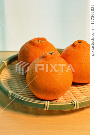 Shiranui oranges are in season now. Shiranui oranges are in season now. 137803823
