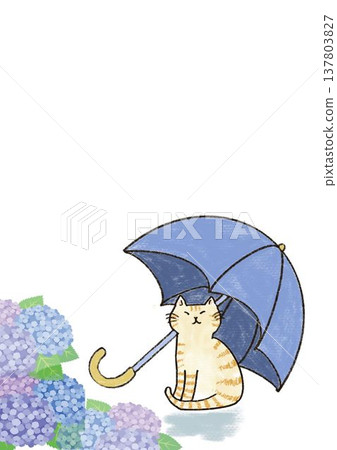 Cat holding an umbrella 137803827