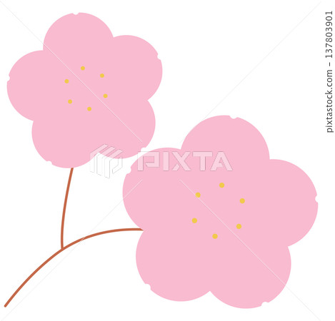 Simple and gentle spring illustration material featuring cherry blossom branches and flowers. 137803901