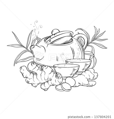Ginger Tea in Teapot Outline Illustration. 137804201