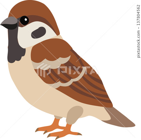 cute sparrow bird cartoon illustration minimal style small bird illustration for kids nature and wildlife theme 137804562