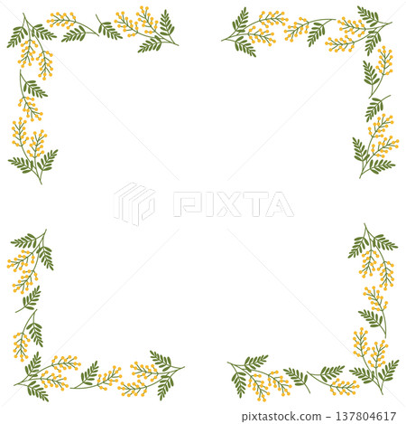 Mimosa frame Mimosa frame 137804617