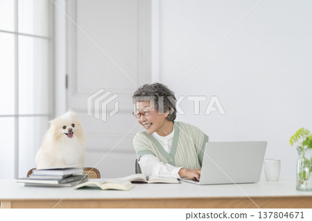 A senior woman who works at a desk and her beloved dog 137804671