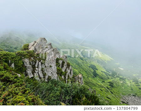 Misty mountain landscape with jagged rock formations emerging from lush green vegetation. Scene enveloped in fog, creating serene almost ethereal atmosphere. Shpytci, Carpathian mountains, Ukraine. Misty mountain landscape with jagged rock formations emerging from lush green vegetation. Scene enveloped in fog, creating serene almost ethereal atmosphere. Shpytci, Carpathian mountains, Ukraine. 137804799