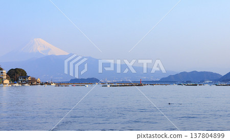西伊豆半島沼津市西浦的冬天 西伊豆半島沼津市西浦的冬天 137804899