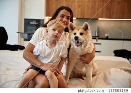 Comfortable bed, together. Mother with son and Shibu Inu dog are at home Comfortable bed, together. Mother with son and Shibu Inu dog are at home 137805189