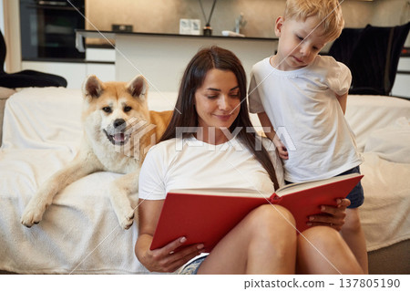 Big red covered book in hands, reading. Mother with son and Shibu Inu dog are at home Big red covered book in hands, reading. Mother with son and Shibu Inu dog are at home 137805190