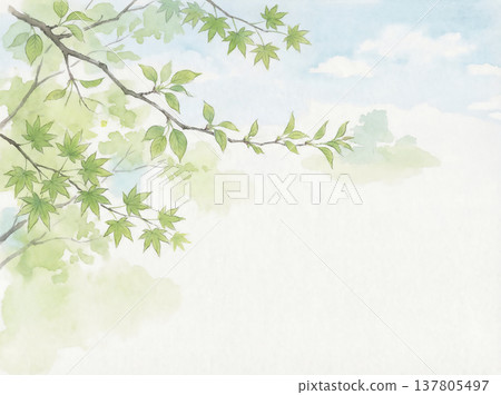 水彩畫：翠綠的葉子與蔚藍的天空 137805497