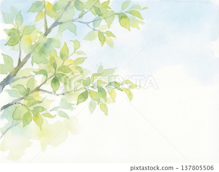 水彩畫:翠綠的葉子與蔚藍的天空 水彩畫:翠綠的葉子與蔚藍的天空 137805506