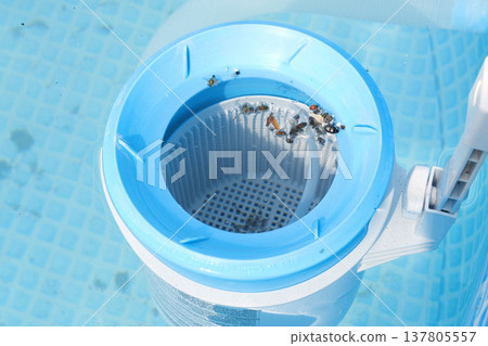 Top view of the blue skimmer for cleaning the pool in clear water. Contaminated pool cleaning concept 137805557