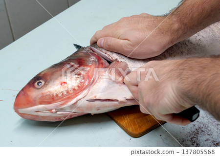 Man prepares fresh silver carp fish. Cuts it into steaks with a knife. home cooking concept 137805568