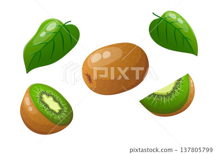 Vector illustration featuring sliced kiwis and leaves 137805799