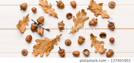 Branch with green oak tree leaves and acorns on colored background, close up top view 137805901
