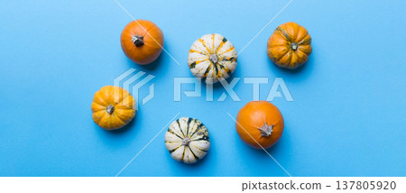 Autumn composition of little orange pumpkins on colored table background. Fall, Halloween and Thanksgiving concept. Autumn flat lay photography. Top view vith copy space Autumn composition of little orange pumpkins on colored table background. Fall, Halloween and Thanksgiving concept. Autumn flat lay photography. Top view vith copy space 137805920