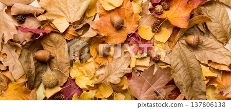 Colorful backround image of fallen autumn leaves perfect for seasonal use. top view 137806138