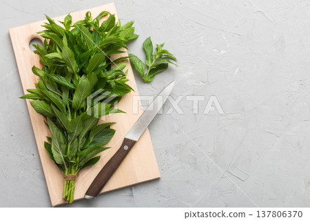 Bunch of fresh mint on the cutting boards, colored background top view 137806370