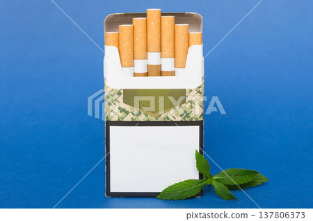 Pack of menthol cigarettes and fresh mint on colored table, Menthol cigarettes top view flat lay Pack of menthol cigarettes and fresh mint on colored table, Menthol cigarettes top view flat lay 137806373