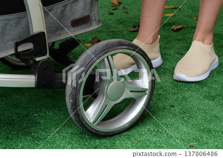 Mom with a baby in a stroller walks in the park on green grass 137806486