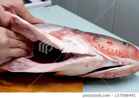 Cooking silver carp. cleaning ribs and blotting its insides with a napkin Cooking silver carp. cleaning ribs and blotting its insides with a napkin 137806491