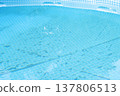 dirty pool water surface, season luxury life concept top veiw 137806513