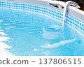 Top view of the blue skimmer for cleaning the pool in clear water. Contaminated pool cleaning concept 137806515