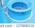 Top view of the blue skimmer for cleaning the pool in clear water. Contaminated pool cleaning concept 137806516