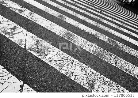 crosswalk  137806535