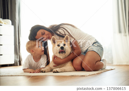Against the window in curtains, on the floor. Mother with son and Shibu Inu dog are at home Against the window in curtains, on the floor. Mother with son and Shibu Inu dog are at home 137806615
