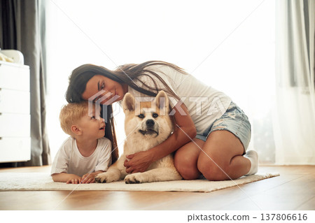 Against the window in curtains, on the floor. Mother with son and Shibu Inu dog are at home Against the window in curtains, on the floor. Mother with son and Shibu Inu dog are at home 137806616