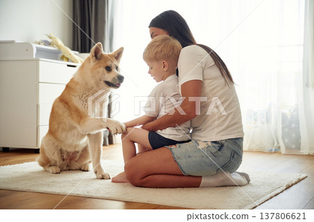 Doing the tricks, giving paw. Mother with son and Shibu Inu dog are at home Doing the tricks, giving paw. Mother with son and Shibu Inu dog are at home 137806621