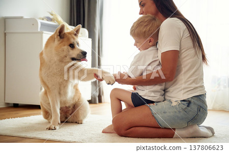Doing the tricks, giving paw. Mother with son and Shibu Inu dog are at home Doing the tricks, giving paw. Mother with son and Shibu Inu dog are at home 137806623