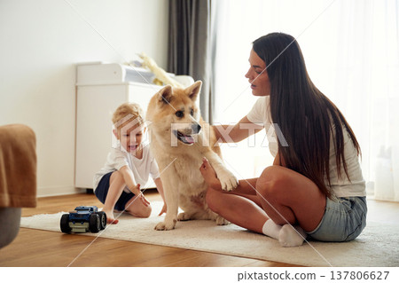 Mother with son and Shibu Inu dog are at home Mother with son and Shibu Inu dog are at home 137806627