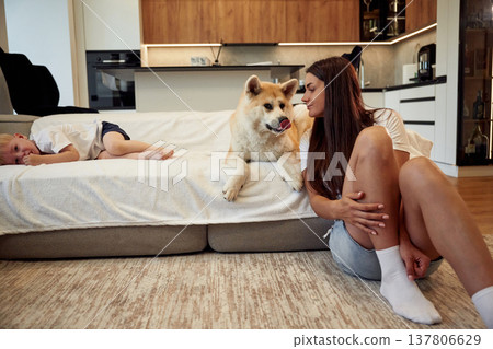 Enjoying time together. Woman is with her Shibu Inu dog at home 137806629