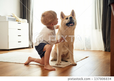 On the floor. Little boy is with Shibu Inu dog at home On the floor. Little boy is with Shibu Inu dog at home 137806834