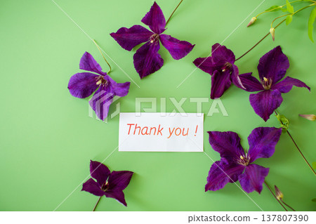 Isolated branch of clematis with petals on green Isolated branch of clematis with petals on green 137807390