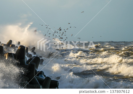 Powerful Baltic Sea storm waves crashing against concrete breakwater near Liepaja with seabirds Powerful Baltic Sea storm waves crashing against concrete breakwater near Liepaja with seabirds 137807612
