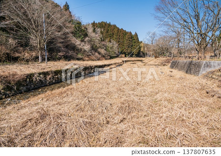 流經琵琶湖的大川清澈溪流，位於滋賀縣長濱市西淺井町 137807635