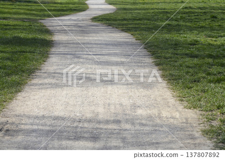 Winding gravel path through a green park meadow 137807892