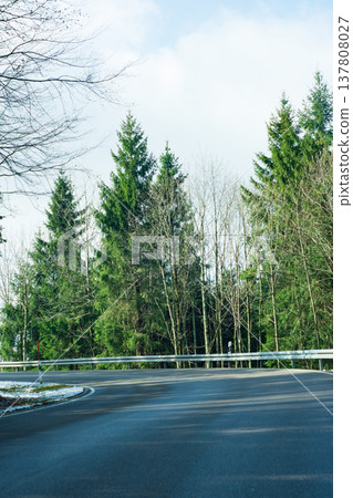 Winding road through a serene forest landscape with tall trees basking in soft daylight during early springtime Winding road through a serene forest landscape with tall trees basking in soft daylight during early springtime 137808027