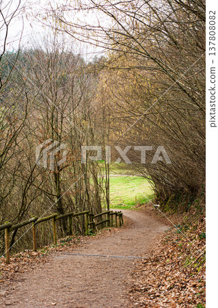 Serene winding path through autumn trees leading to a lush green meadow under soft, diffused light in a tranquil nature setting 137808082