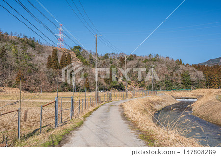 The clear stream of the Okawa River flowing through Lake Biwa, Nishi-Asai-cho, Nagahama City, Shiga Prefecture 137808289