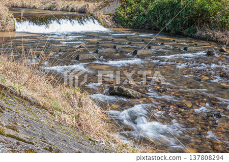 The clear stream of the Okawa River flowing through Lake Biwa, Nishi-Asai-cho, Nagahama City, Shiga Prefecture The clear stream of the Okawa River flowing through Lake Biwa, Nishi-Asai-cho, Nagahama City, Shiga Prefecture 137808294